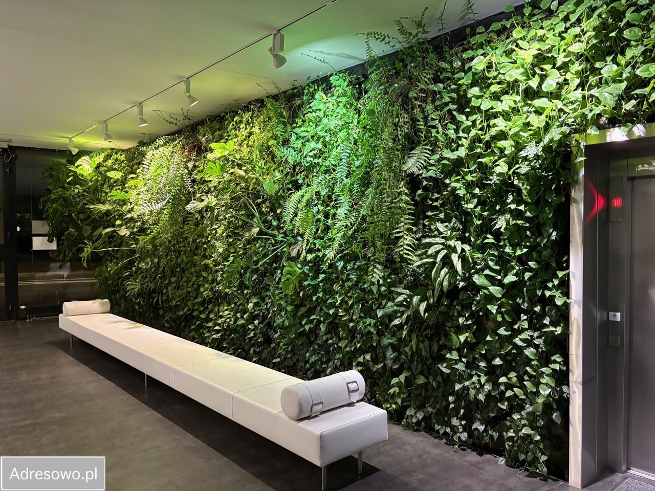 Mieszkanie 2-pokojowe Warszawa Wola, ul. Dzielna. Zdjęcie 6