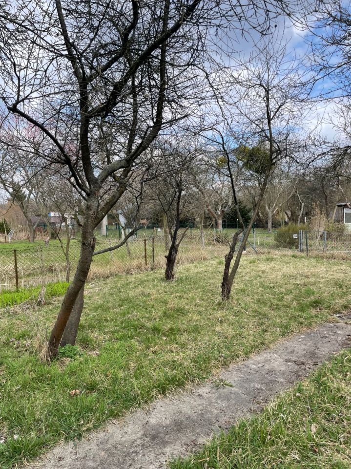 Działka rod Wrocław Krzyki. Zdjęcie 3