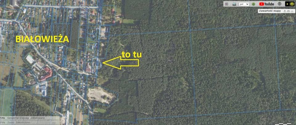 Działka rolno-budowlana Białowieża, ul. Wojciechówka. Zdjęcie 4