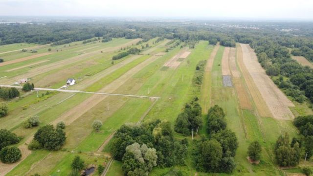 Działka budowlana Jodłówka. Zdjęcie 14