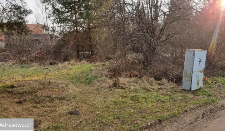 Działka rekreacyjna Dominikowo, ul. Leśna Polana