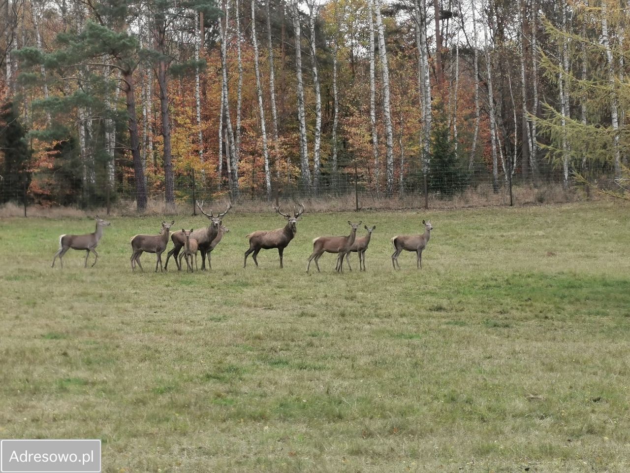 Działka budowlana Salinko, ul. Srebrna. Zdjęcie 8