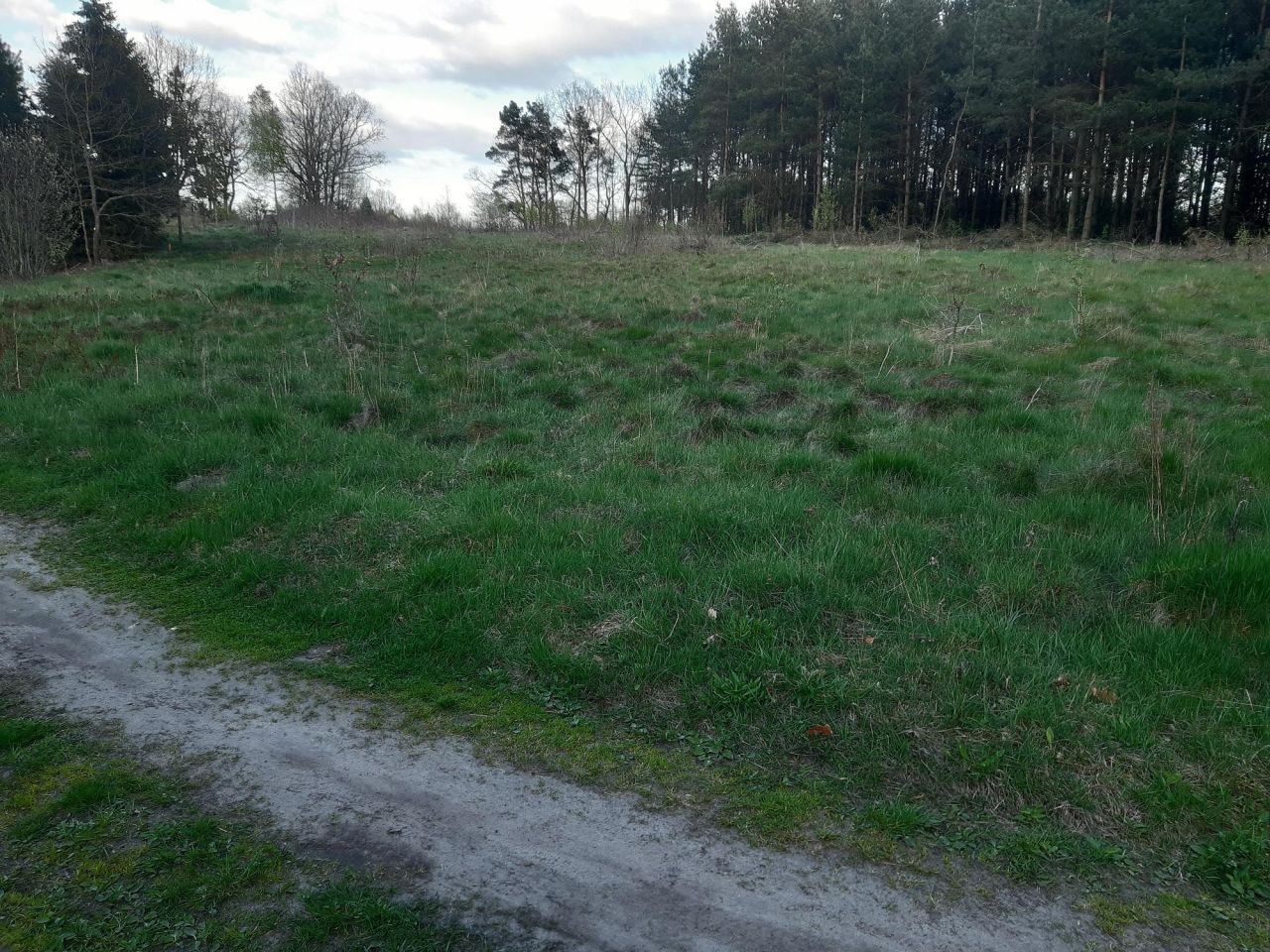 Działka rolna Skrzeszewo, ul. Zbożowa