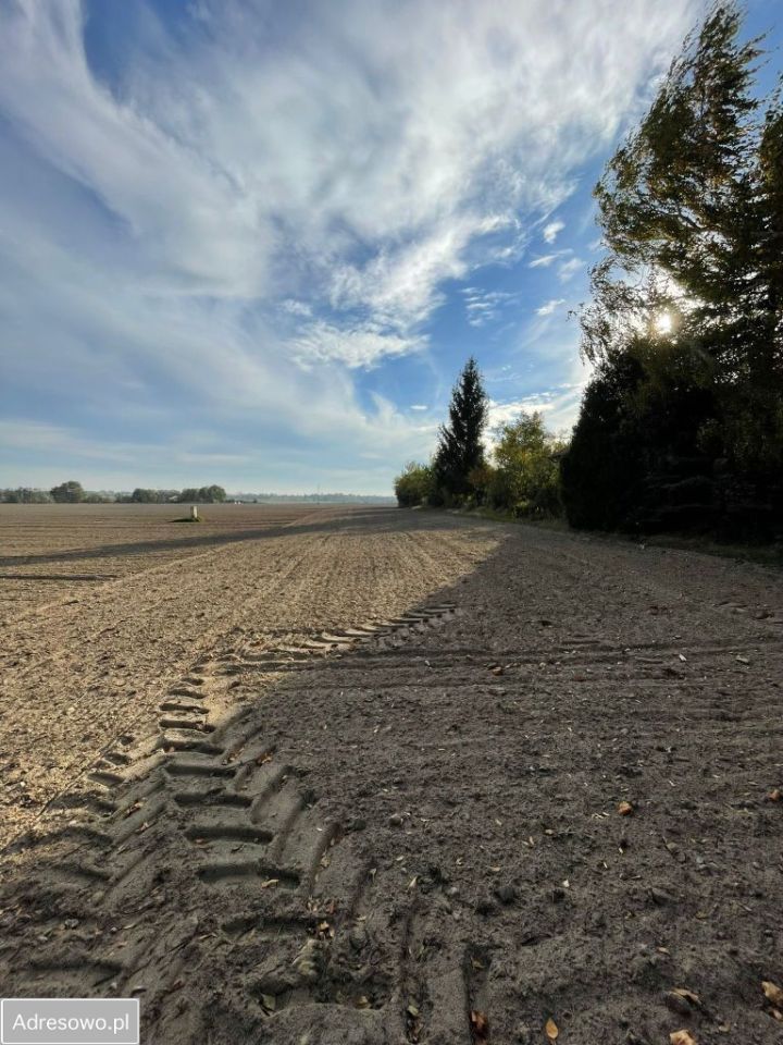 Działka budowlana Promienko Wiktorówka, ul. Tawułowa. Zdjęcie 4