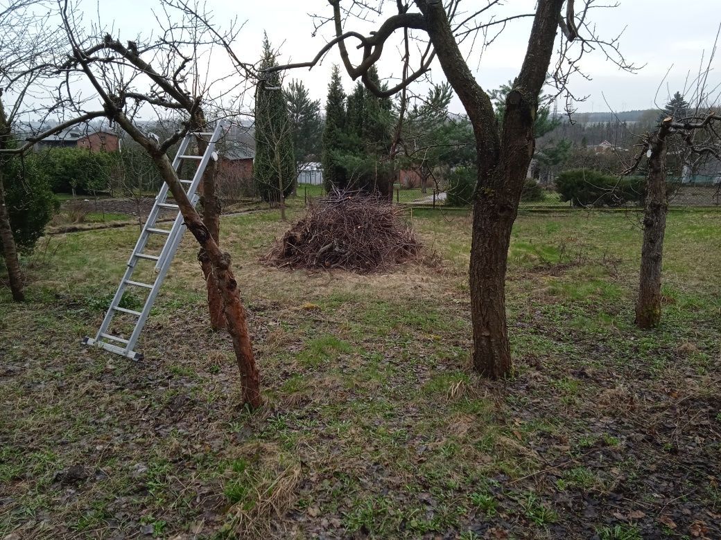 Działka rod Działdowo. Zdjęcie 5