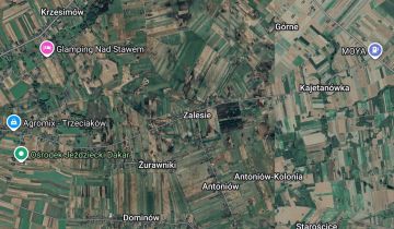 Działka siedliskowa Zalesie