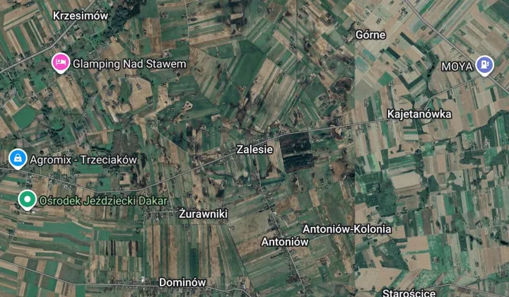 Działka siedliskowa Zalesie