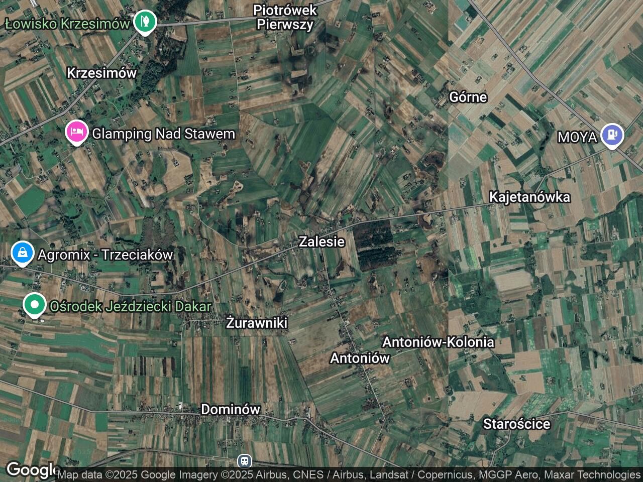 Działka siedliskowa Zalesie