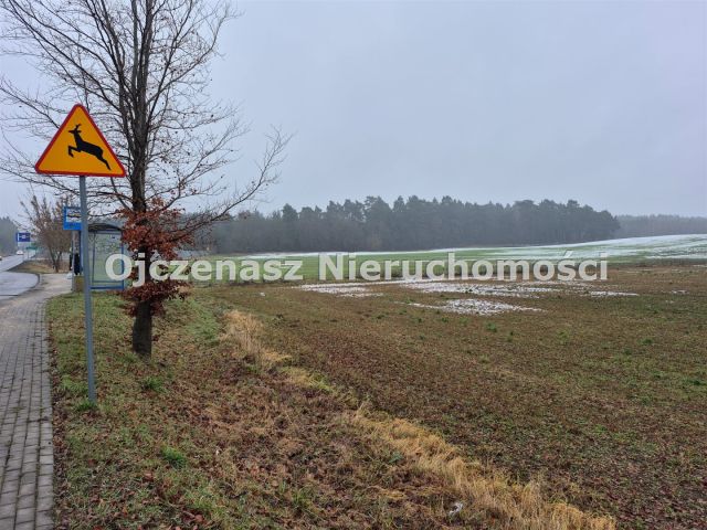 Działka inwestycyjna Osówiec. Zdjęcie 12