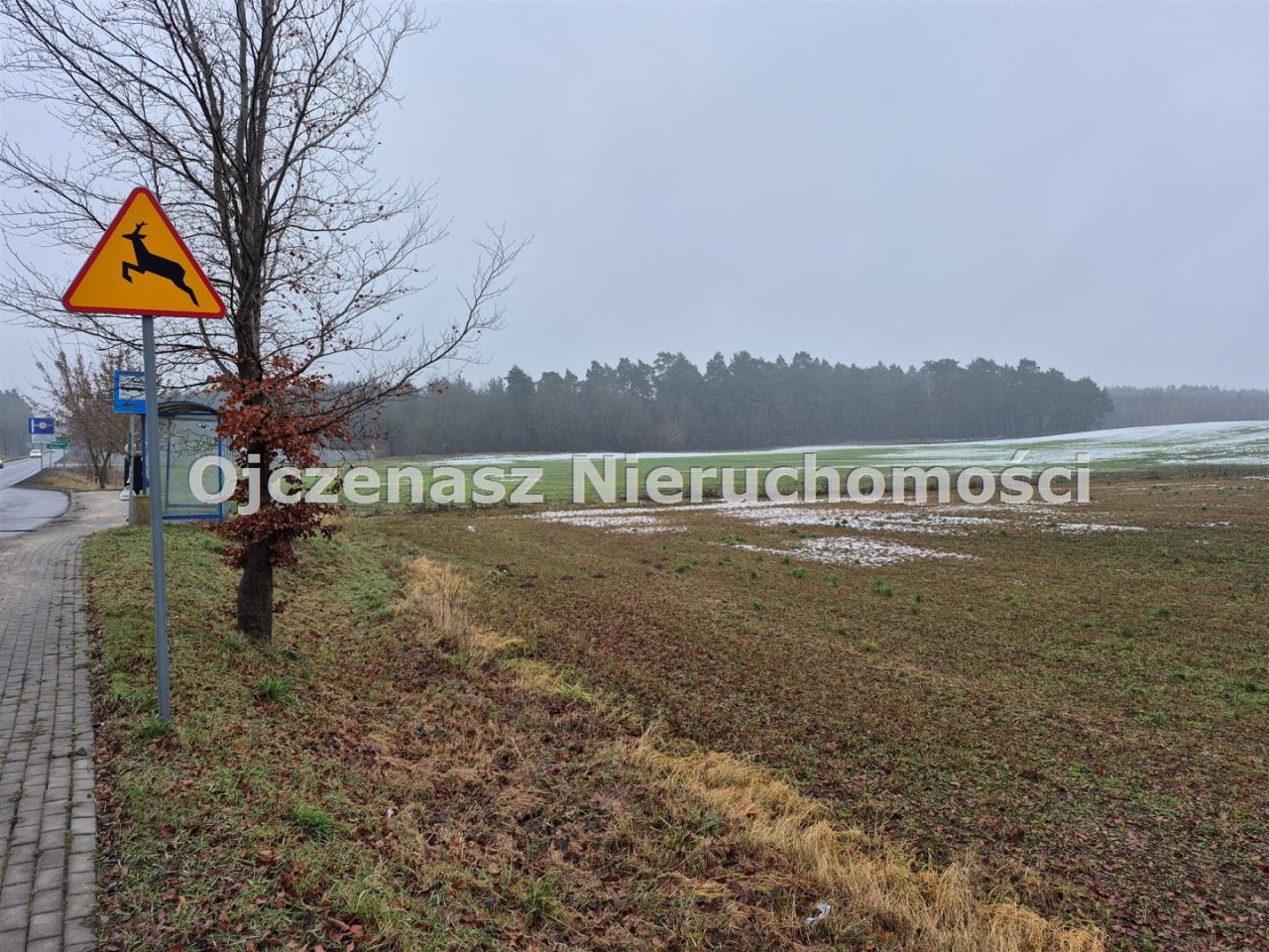 Działka inwestycyjna Osówiec. Zdjęcie 12