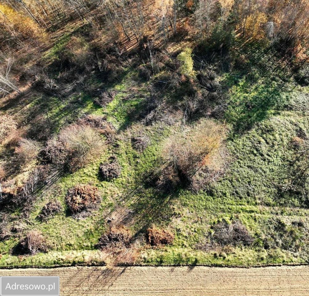 Działka rolno-budowlana Olszowa. Zdjęcie 6