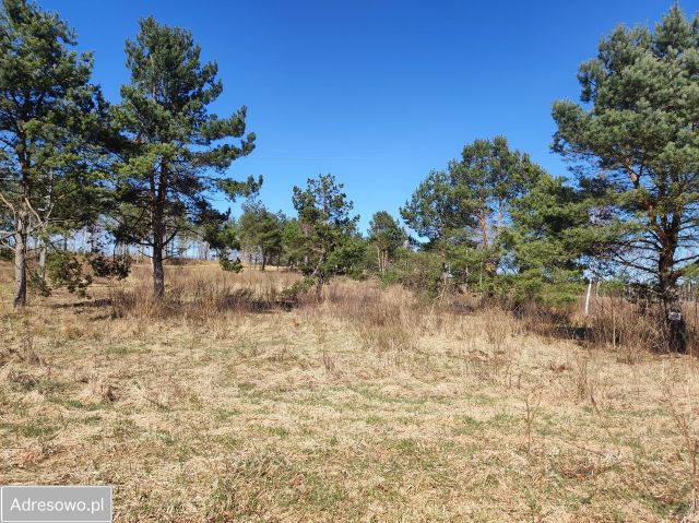 Działka budowlana Wyszewo. Zdjęcie 1