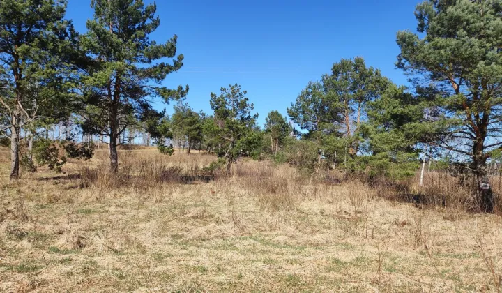 Działka budowlana Wyszewo