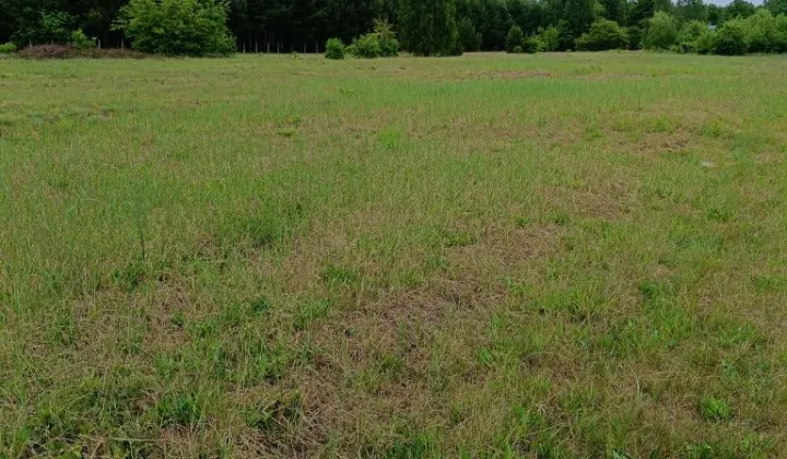 Działka budowlana Zuzanów