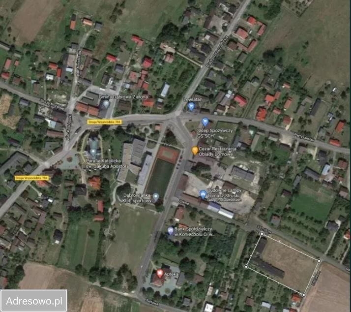 Działka inwestycyjna Dąbrowa Zielona. Zdjęcie 2