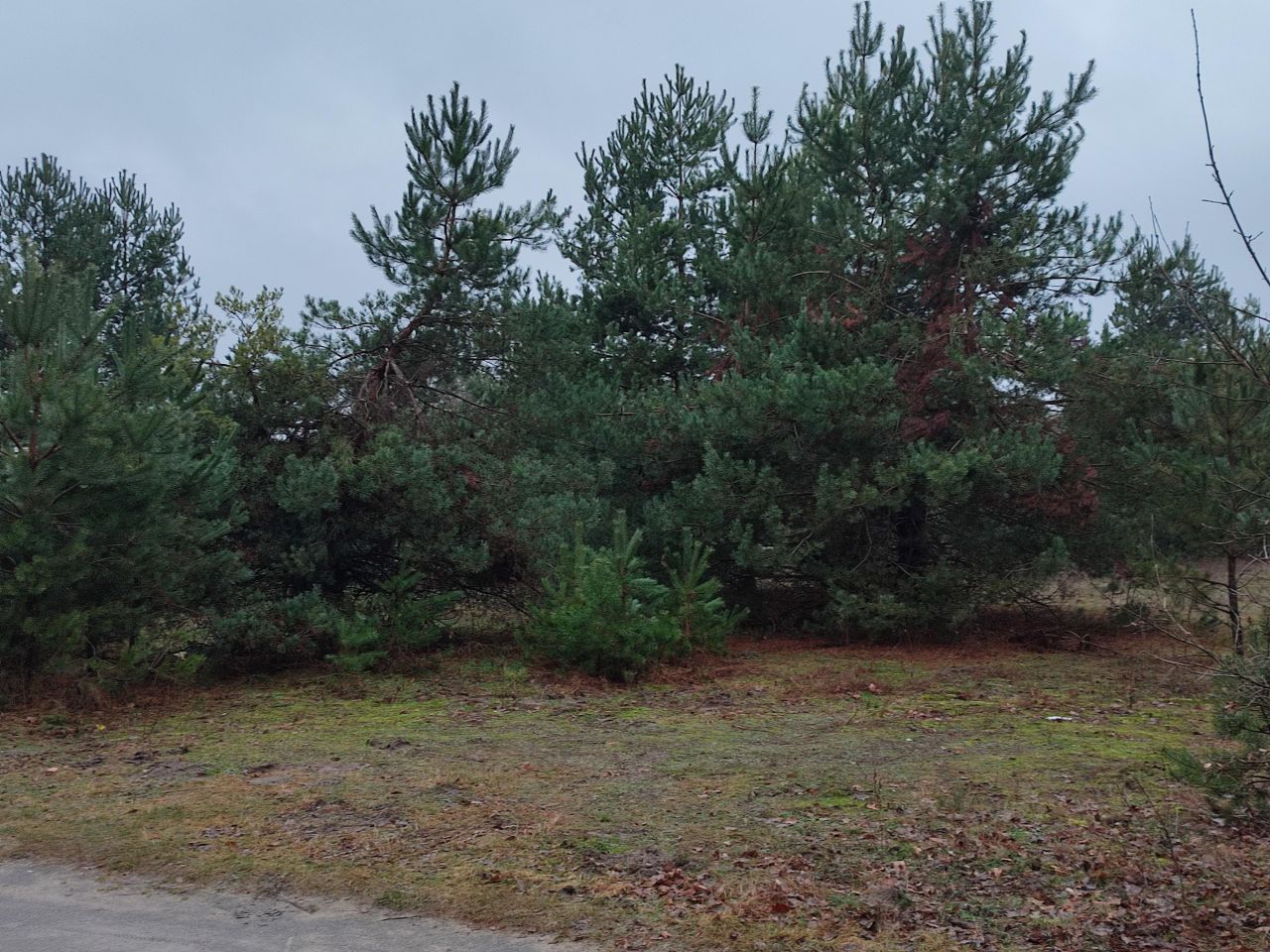 Działka rolna Obręb. Zdjęcie 2