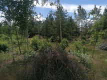 Działka budowlana Klwatka Królewska Figielów. Zdjęcie 2