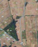 Działka rolna Nowa Wieś. Zdjęcie 2