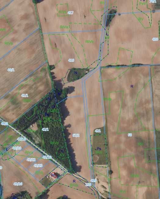 Działka rolna Nowa Wieś. Zdjęcie 3