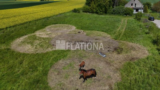 Działka rolna Dalwin. Zdjęcie 2