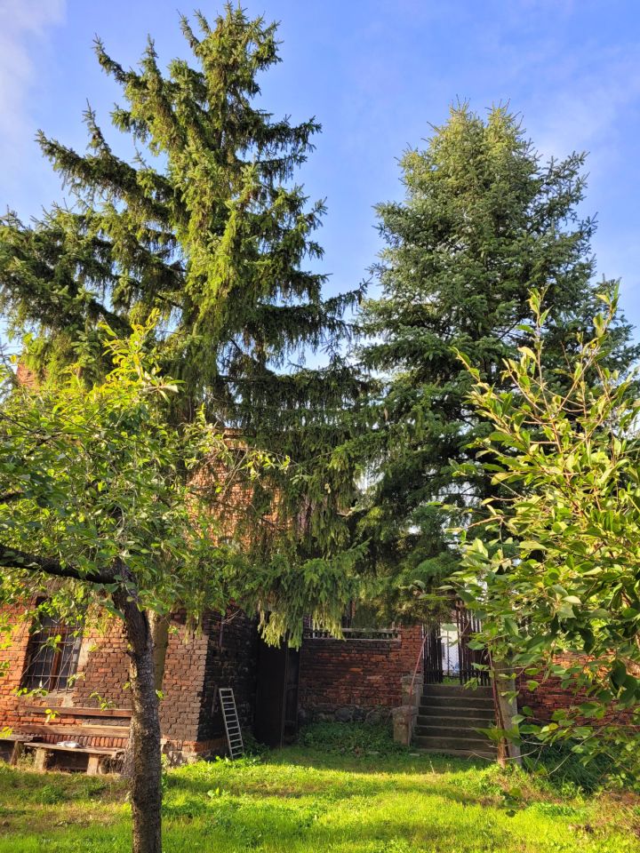 dom wolnostojący, 6 pokoi Witkowo, ul. Warszawska. Zdjęcie 38