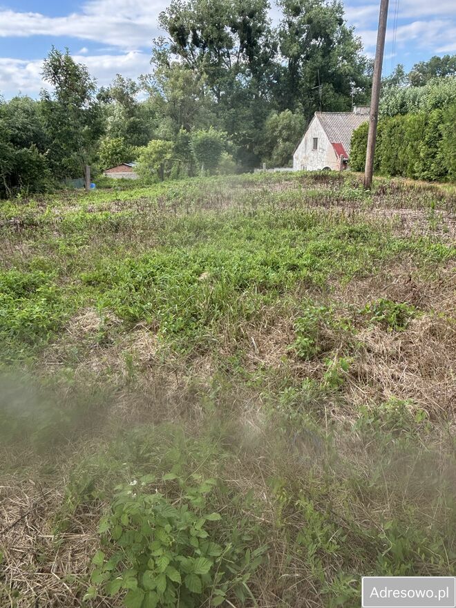 Działka rolno-budowlana Nasiegniewo. Zdjęcie 8