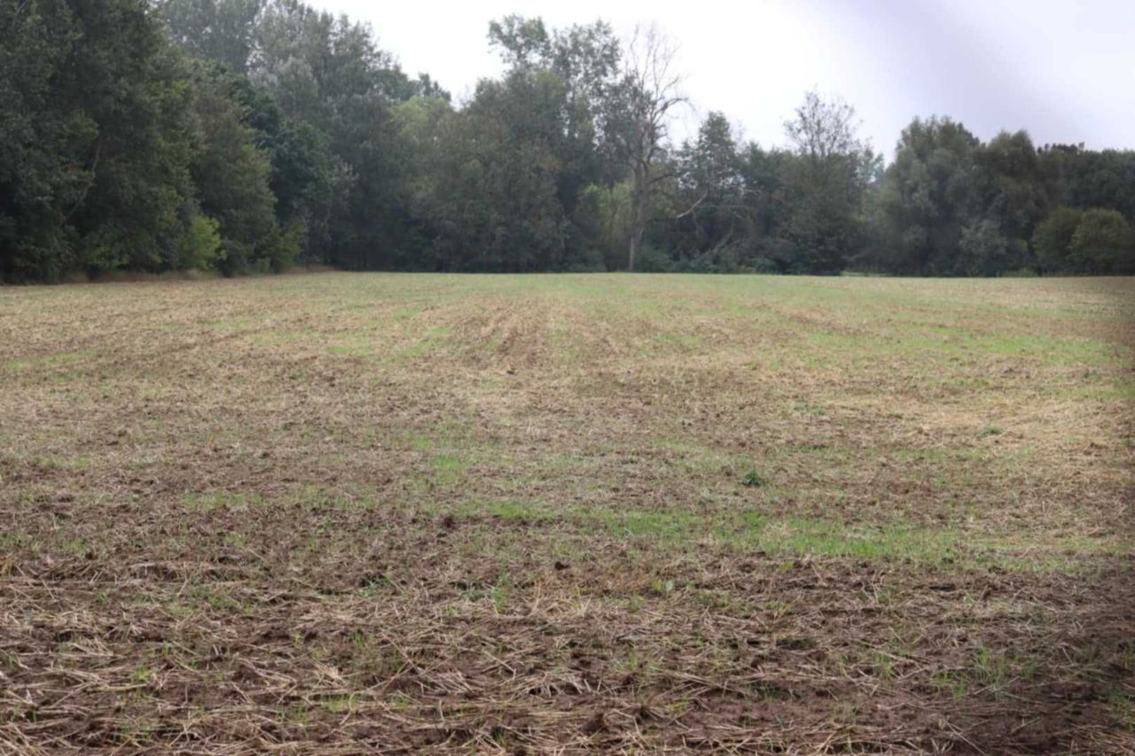 gospodarstwo Kępa Karolińska. Zdjęcie 6