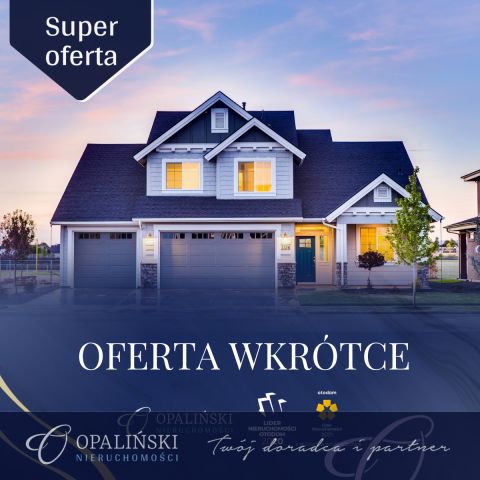 dworek, 8 pokoi Jabłonka. Zdjęcie 1