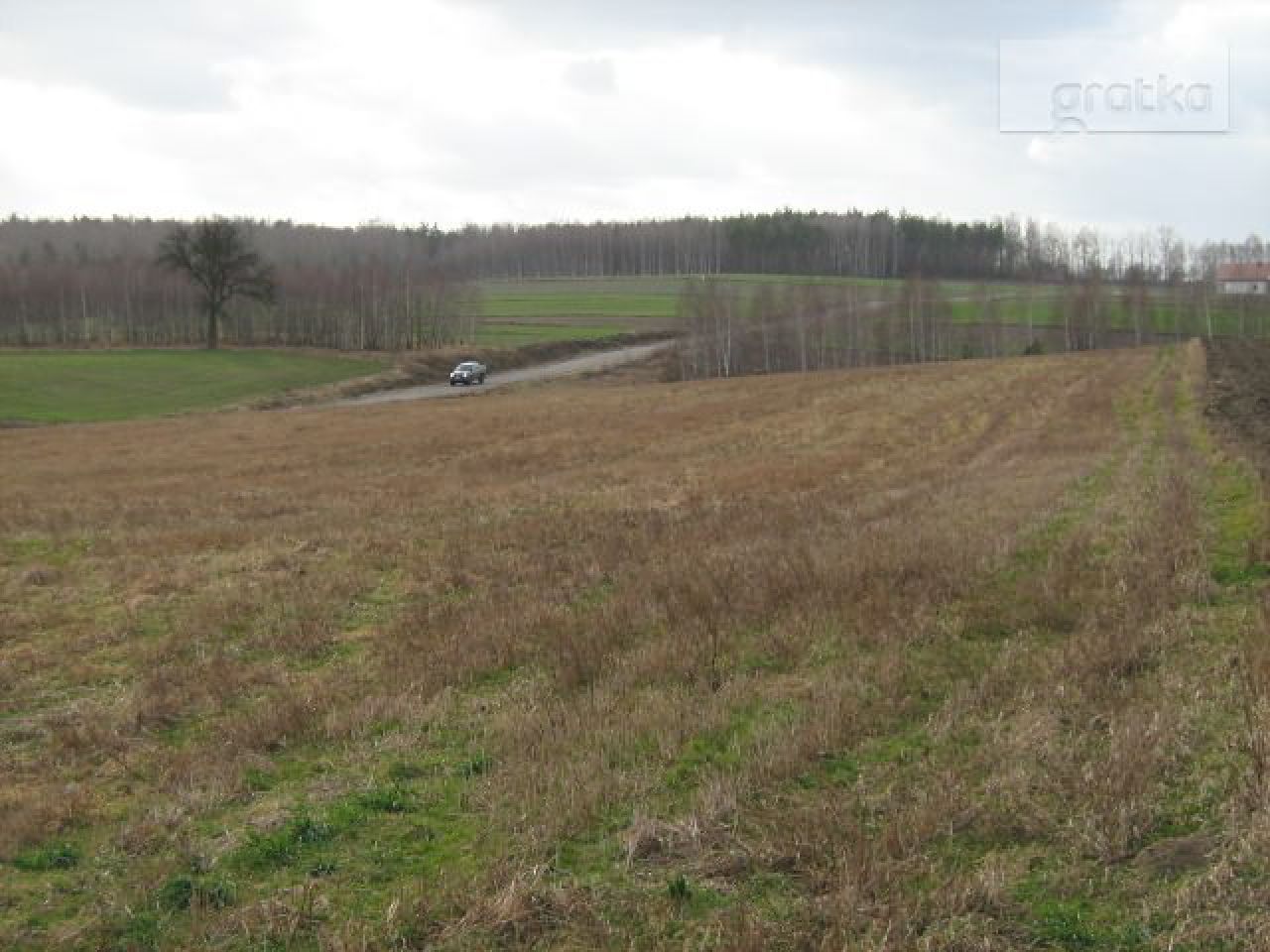 Działka rolno-budowlana Rzeczków. Zdjęcie 8