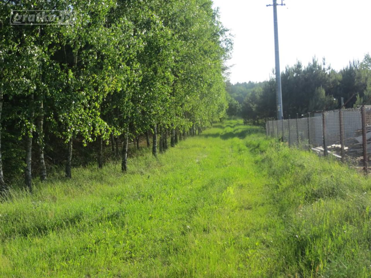 Działka siedliskowa Kołodno. Zdjęcie 9