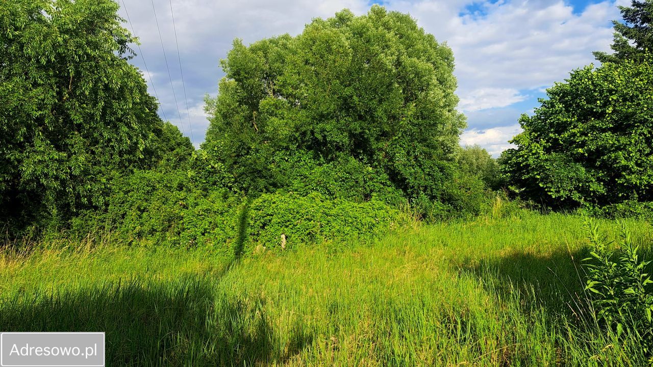 Działka budowlana Nochowo, ul. Leśna. Zdjęcie 4