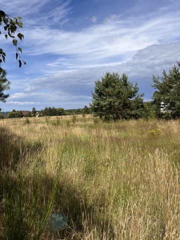 Działka rekreacyjna Sasino, ul. Zacisze. Zdjęcie 3