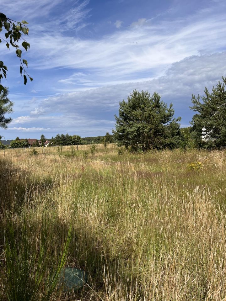 Działka rekreacyjna Sasino, ul. Zacisze. Zdjęcie 4