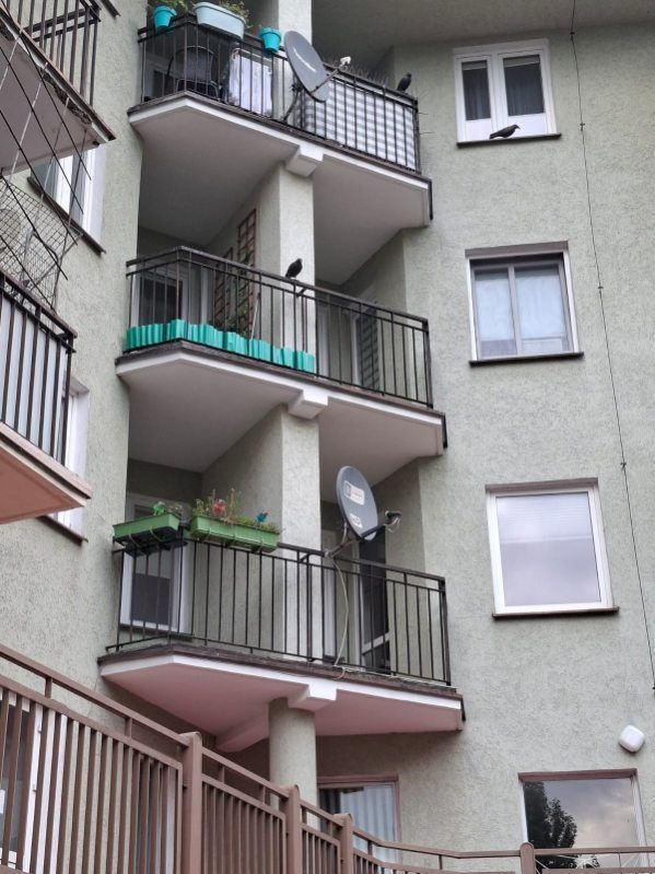 Mieszkanie 3-pokojowe Poznań Centrum, ul. Krakowska. Zdjęcie 20