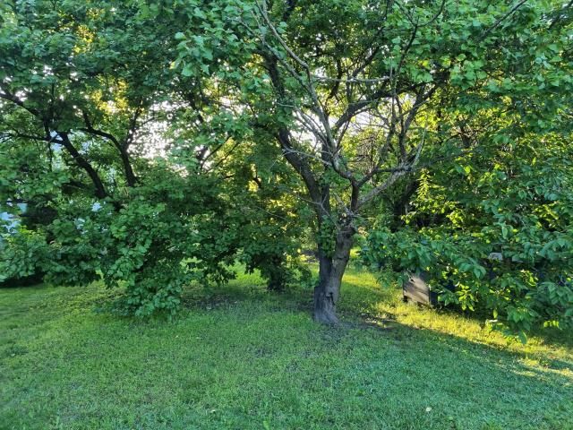 dom wolnostojący, 3 pokoje Piastów. Zdjęcie 12