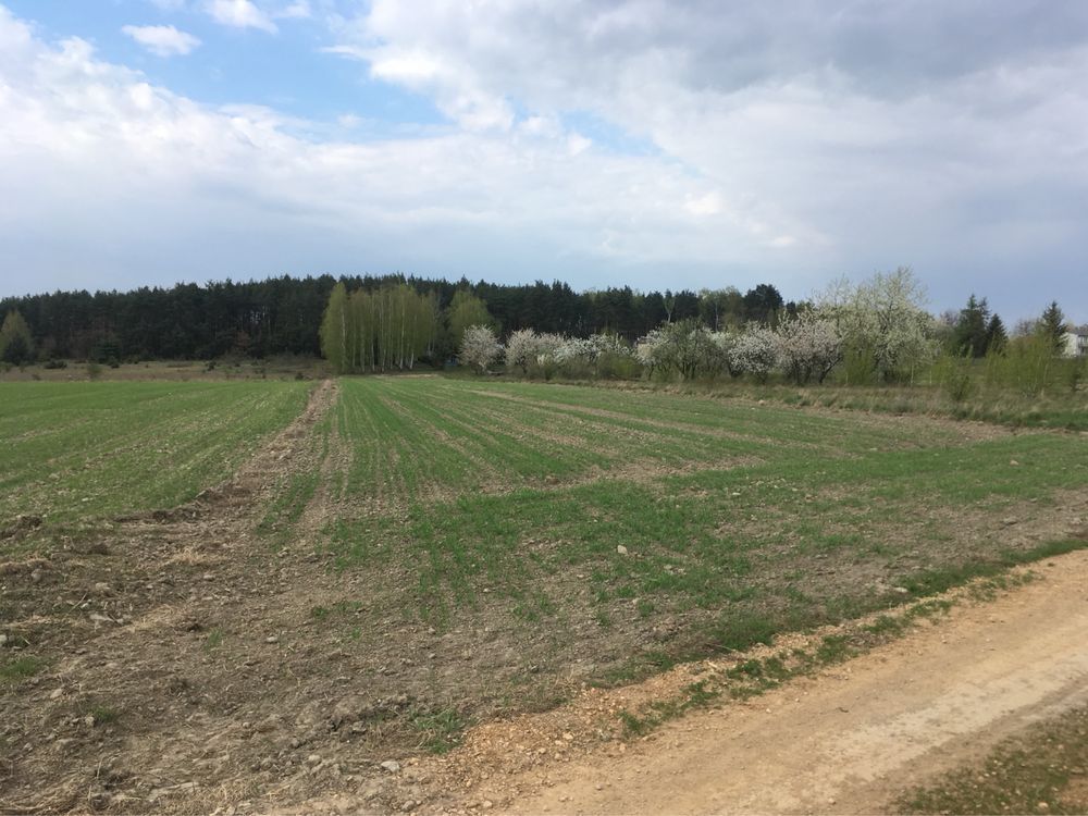 Działka rolno-budowlana Bratoszewice, ul. Zatorze. Zdjęcie 6