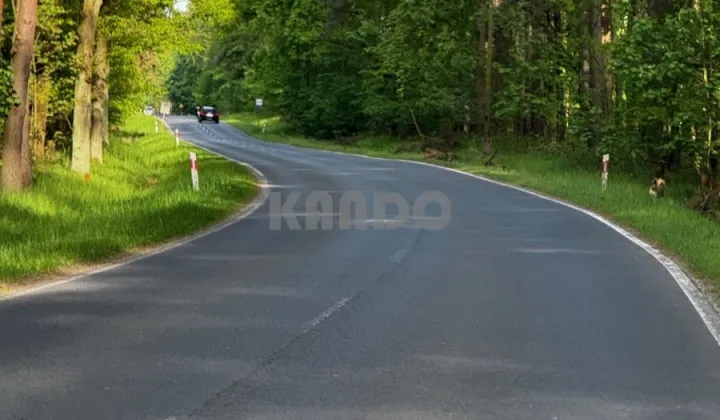 Działka budowlana Rościsławice, ul. Dzika