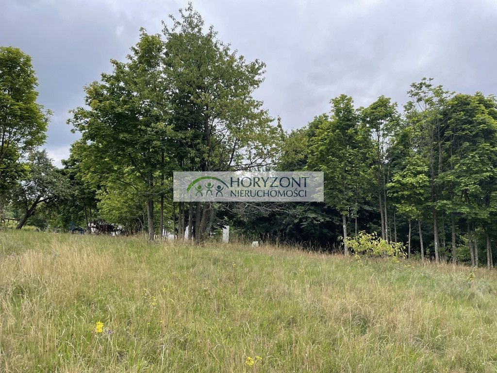 Działka Nowa Wieś Przywidzka. Zdjęcie 5
