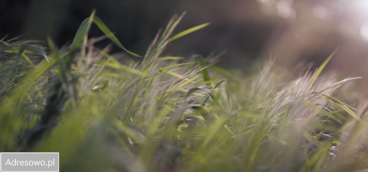 Działka rolna Dobrochów. Zdjęcie 7