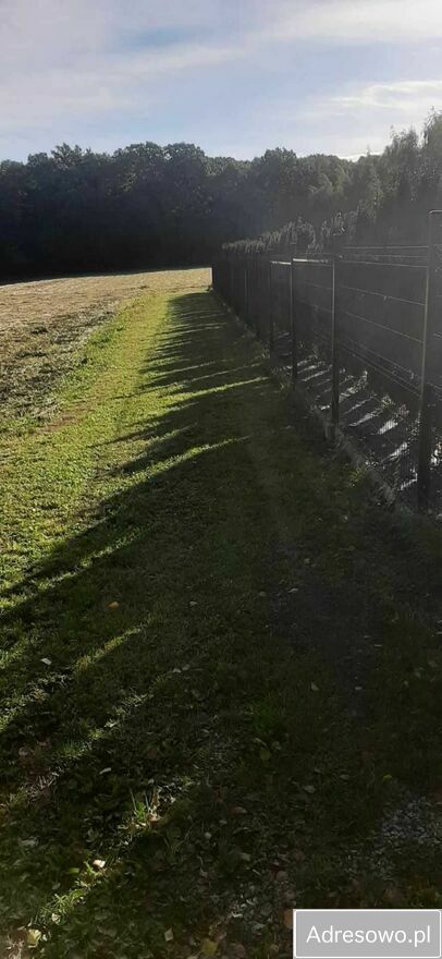 Działka budowlana Jaźwina Janczowice. Zdjęcie 4