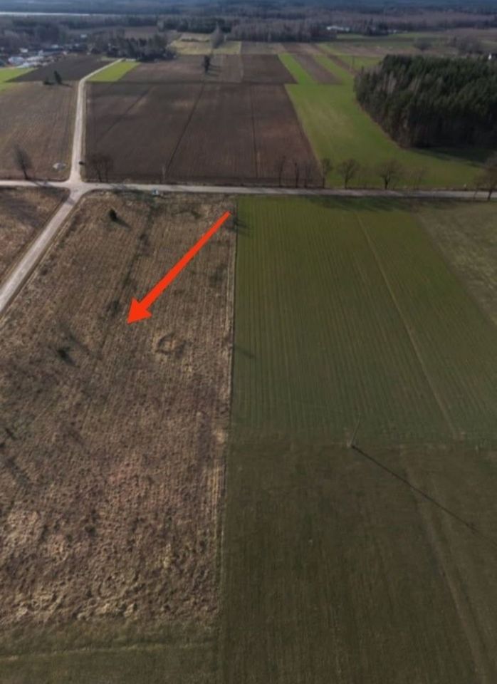 Działka rolno-budowlana Oziabły. Zdjęcie 7