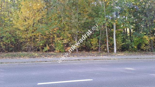 Działka budowlana Wyględy. Zdjęcie 1