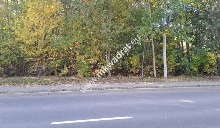 Działka budowlana Wyględy