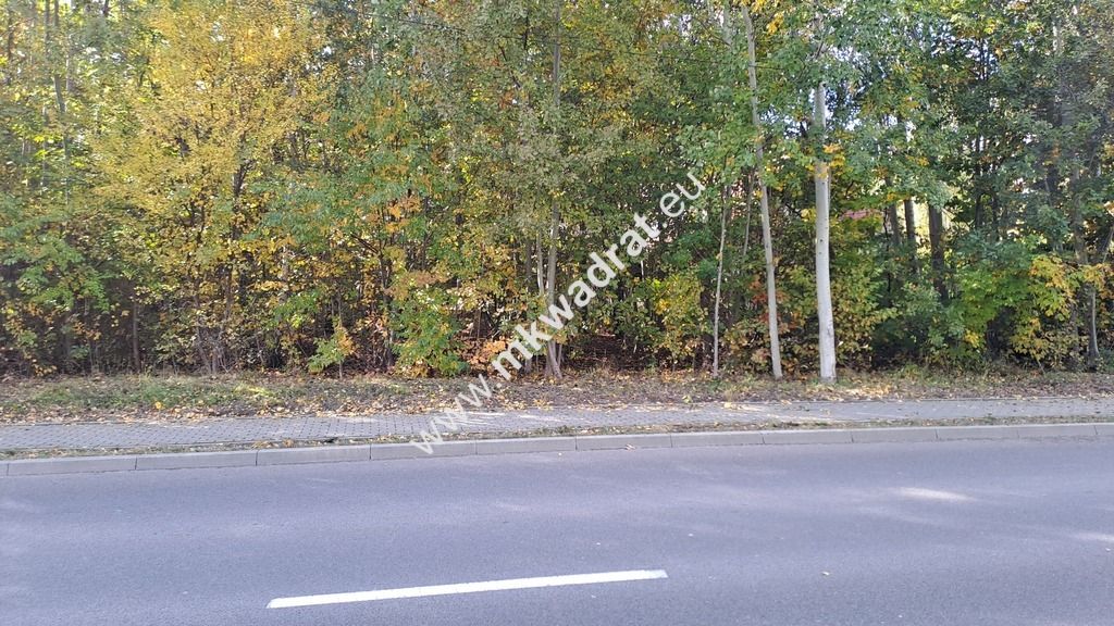 Działka budowlana Wyględy. Zdjęcie 1