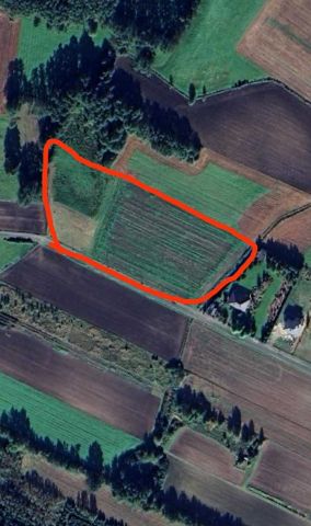 Działka budowlana Nowy Kurzeszyn. Zdjęcie 1