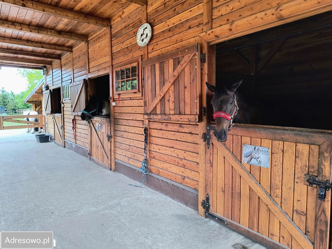 gospodarstwo, 6 pokoi Tarnowa. Zdjęcie 19