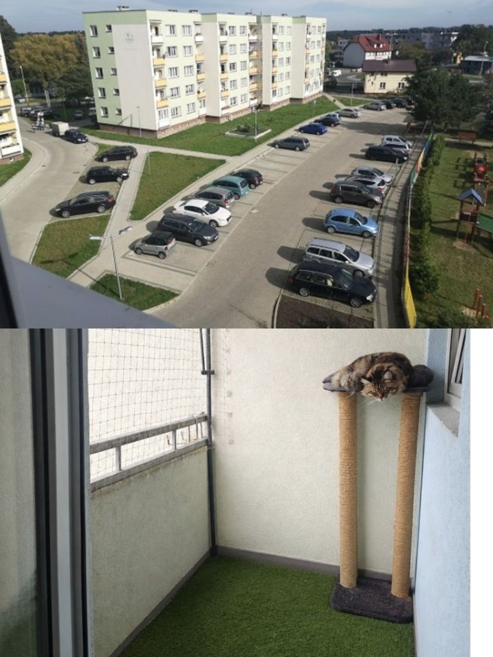 Mieszkanie 3-pokojowe Nowogard, ul. 15 Lutego. Zdjęcie 7