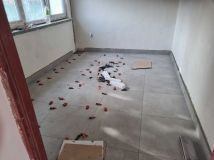 dom wolnostojący Sochaczew, ul. Wiskozowa. Zdjęcie 1