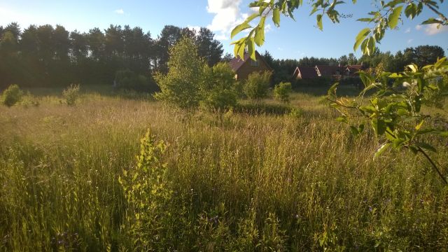 Działka budowlana Pluski, ul. Polna. Zdjęcie 9