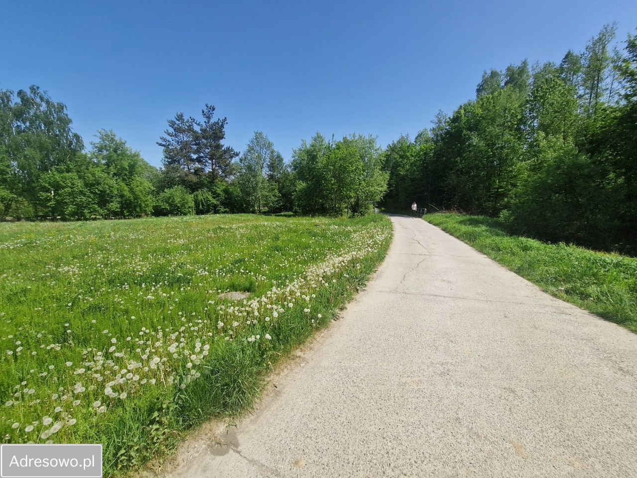 Działka budowlana Kramarzówka. Zdjęcie 2
